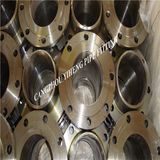 Offer CS Flange