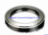 Forged Inner Rings Seamless Rings Ring Forging (z004)