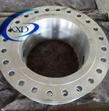 Large Diameter Forging Flange (300-6500mm)