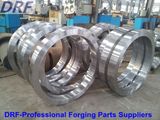 Ring Flange Factory