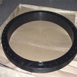 Butt Weld Flange