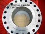 Carbon Steel Flange -17