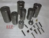 High Precision Tungsten&Alloy Die Casting Screw Mould (BTP-D078)