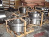 Forging Flange/Pipe Fittings (ELIDD-DDCS)