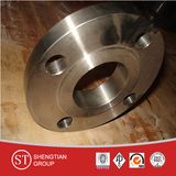 Pipe Fitting Flanges 304 316 (1/2