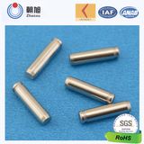 Cylindrical Pin Shaft