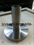 Forged Welding Neck Flange