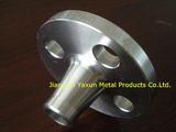 Forged Weld Neck (WN) Stainless Steel Flange