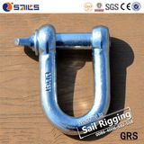 Forging Carbon Steel Galvanized European Type Large Dee Shackle