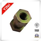 Brass Screw Nut