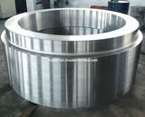 F321 Flange, Ring, Tubesheet Forging Stainless Steel