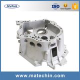 Customized Precision Aluminum Die Casting for Moulding Part