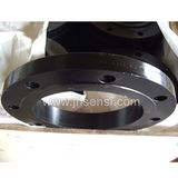 Forged Carbon Steel Flange