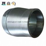 OEM Professional Turning Forging Part/Forged Parts