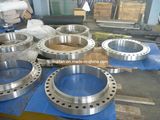 F44 Flange, Tube Sheet, Forging