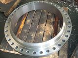 Forging/Forged Flange