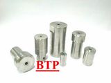Best Price Carbidetungsten Head Die for Fasteners (BTP-D228)